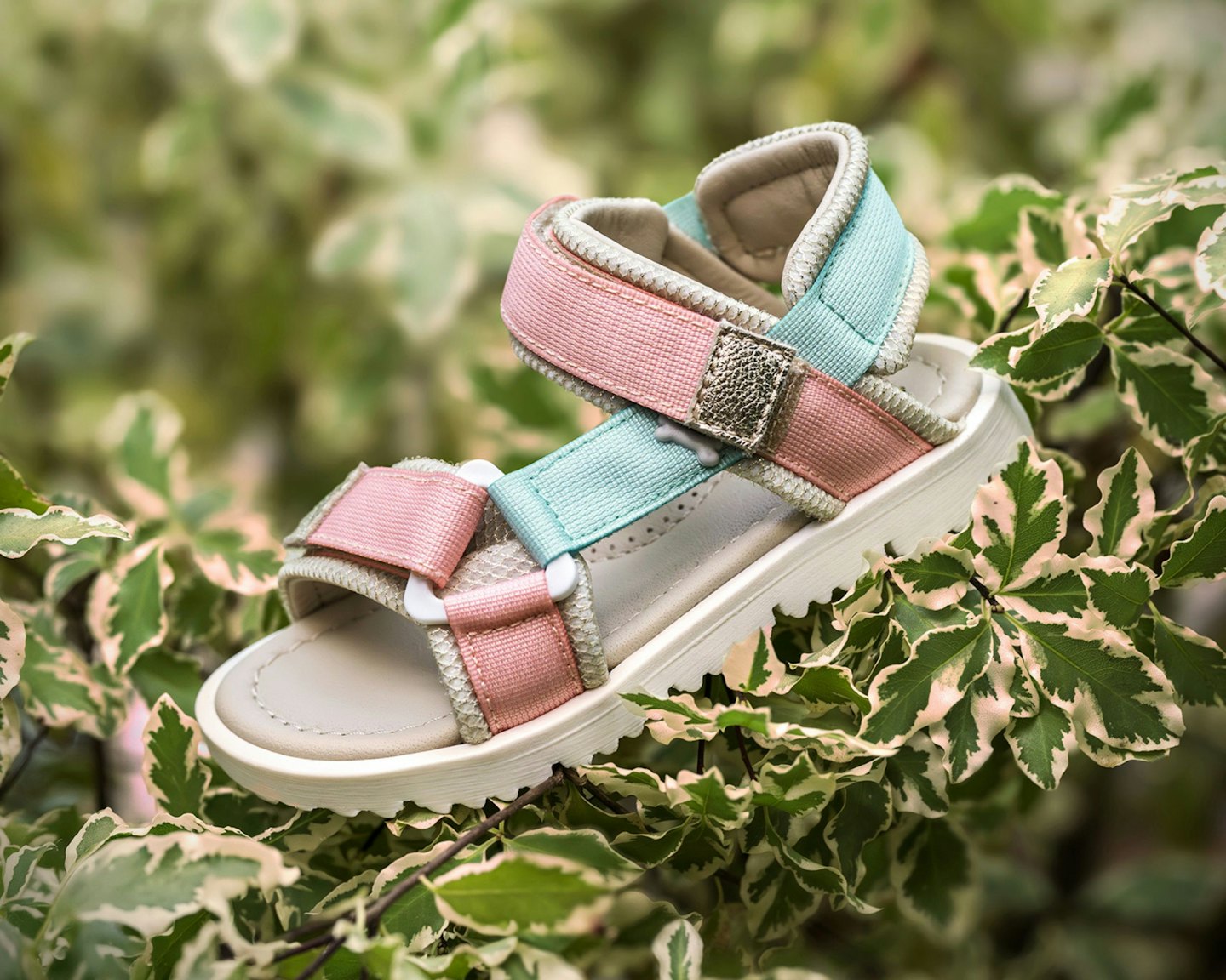 A pink and blue children's sandal rests on green leaves.